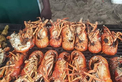Grilled Lobster